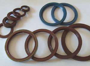 oil seal 2