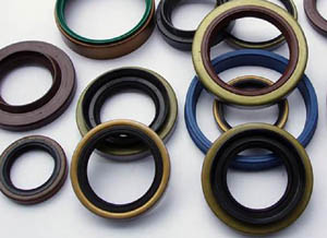 oil seal 1