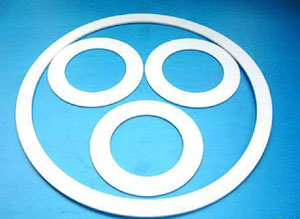 PTFE gasket