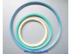 PTFE encapsulated o ring