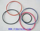 PTFE encapsulated o ring